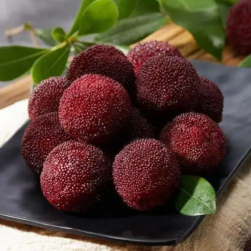 冰杨梅冰镇袋装3斤新鲜冷冻童年儿时零食酸甜解腻冰冻商用批发