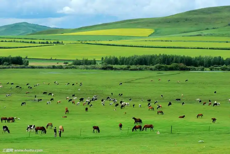 /a>的一种,分为 a target="_blank" href="/item/热带草原/5817119"