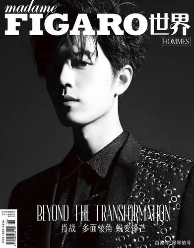 肖战杂志封面合集