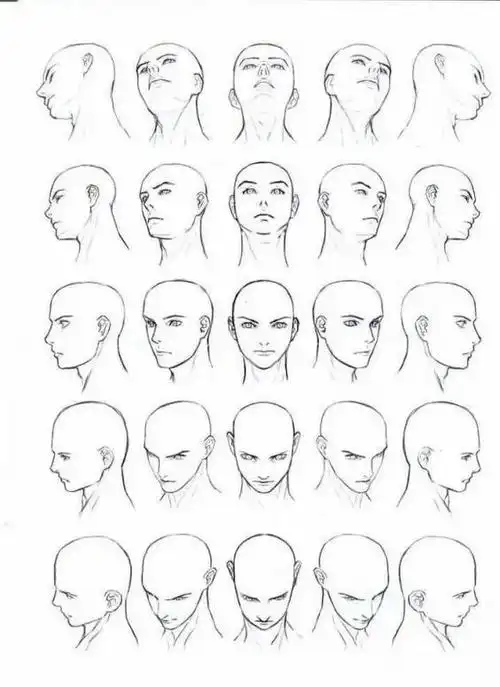 不同角度的头部画法!
