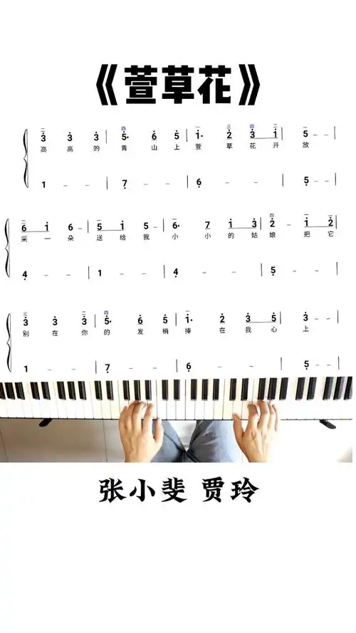 钢琴贾玲张小斐简单好听萱草花双手钢琴简谱