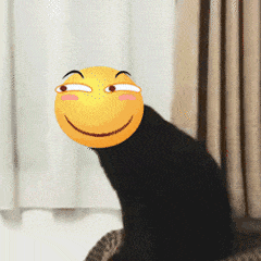 动态搞怪表情包每日一皮很开心