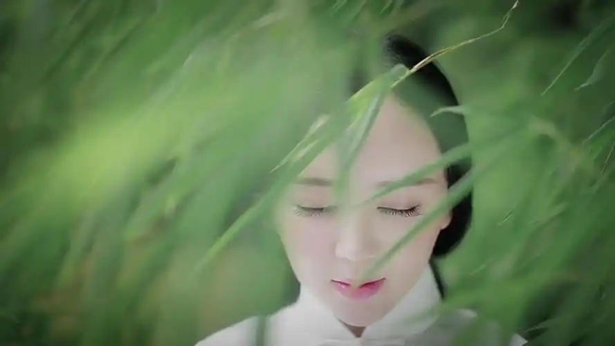 歌名 魏新雨 - 恋人心(原版mv)