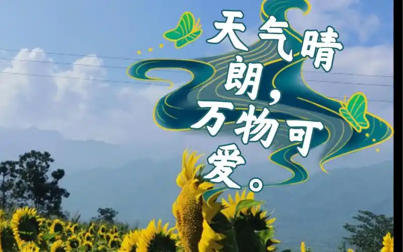 天气晴朗万物可爱