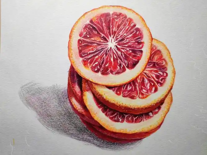 西柚葡萄柚彩铅画写实