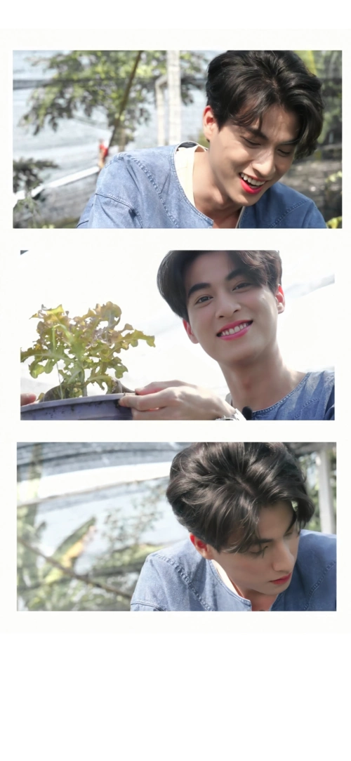 gulf - 堆糖,美图壁纸兴趣社区