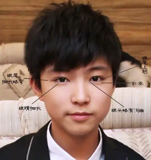 什么是桃花眼?有图最好