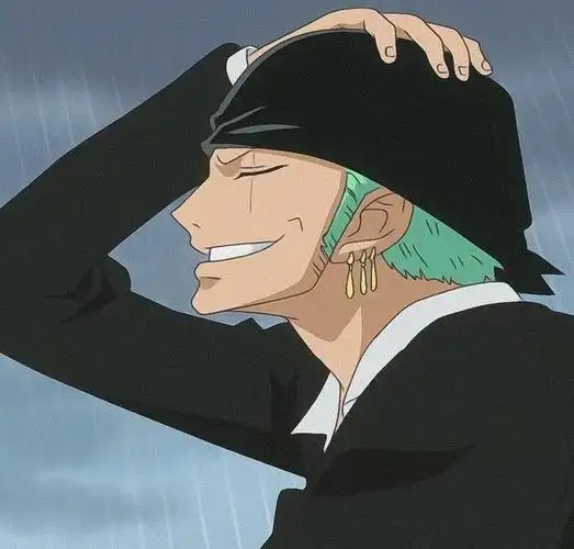 绿藻头索隆索大路痴专用头像