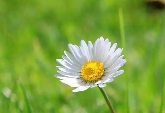 退网,落网?一字之差结局大不同!吴亦凡的事给男人提个醒