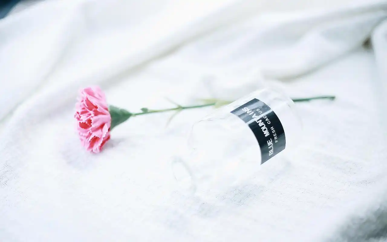 小清新唯美静物图片高清桌面壁纸