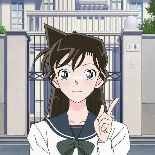 工藤新一78毛利兰情侣头像