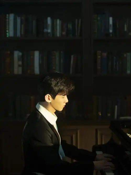 你坐在钢琴边的那一刻我已经为你沦陷