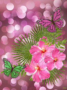 240_320竖版 竖屏gif 动态图 动图