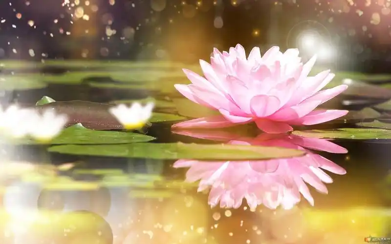 【七宝莲池, 八功德水】