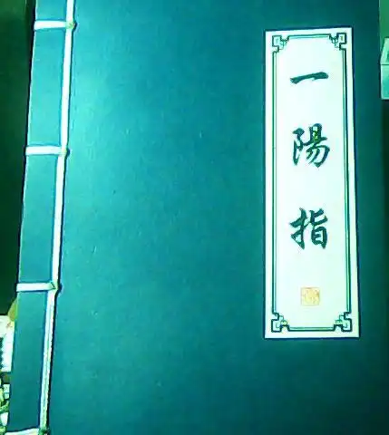 我最近在地摊上买了本武林秘籍是什么叫"一阳指"的.