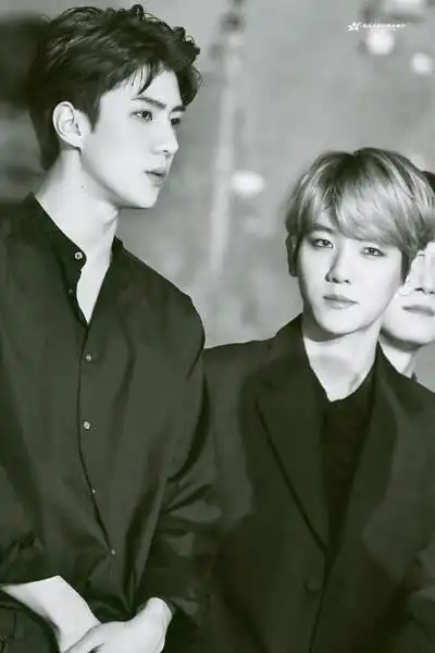 都暻秀 吴世勋 边伯贤