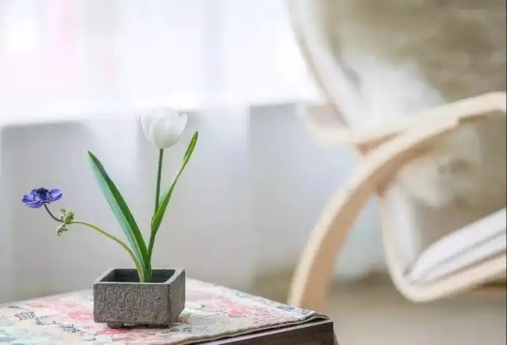 在浮躁世界里,安静是最好的修行