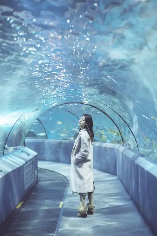 青春养眼的美女海底世界唯美的写真图片