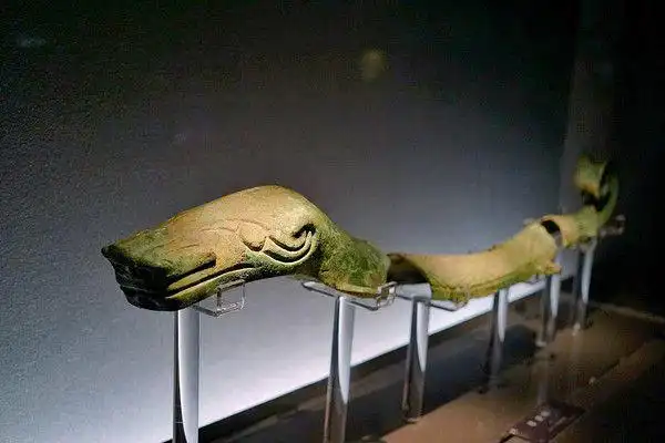 停车免费三星堆文物已来上海虽有遗憾但还送了百亩花海