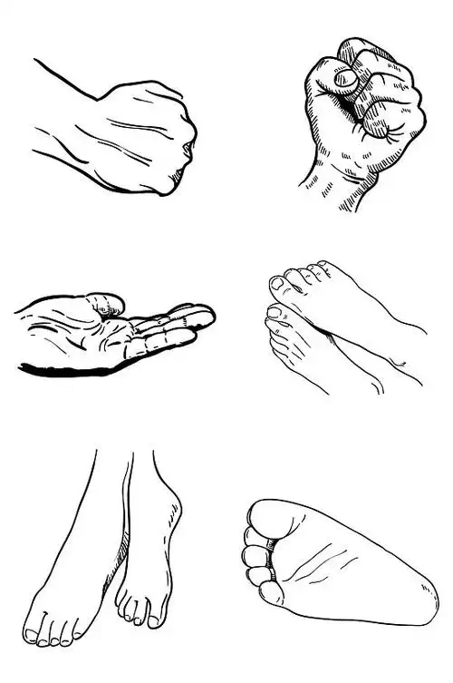 手脚写实手绘线描免抠