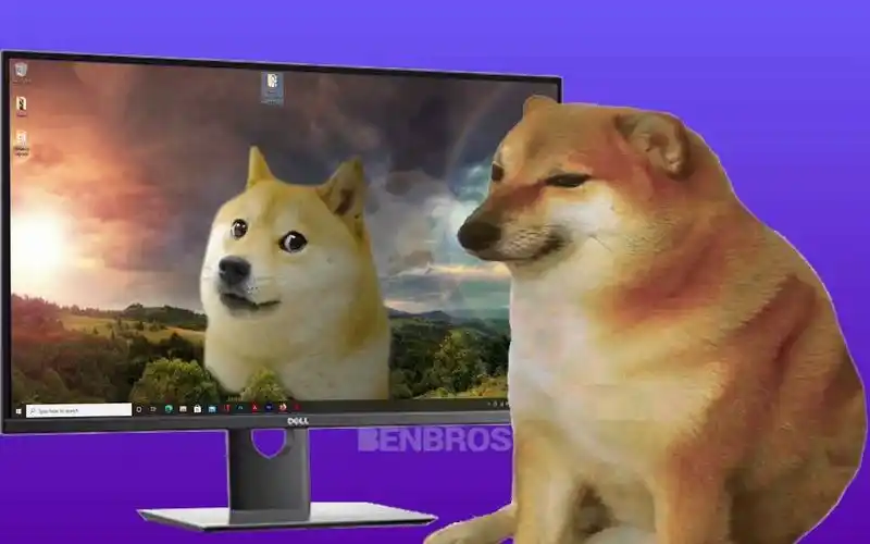 cheems偷看doge老爹的电脑_哔哩哔哩_bilibili