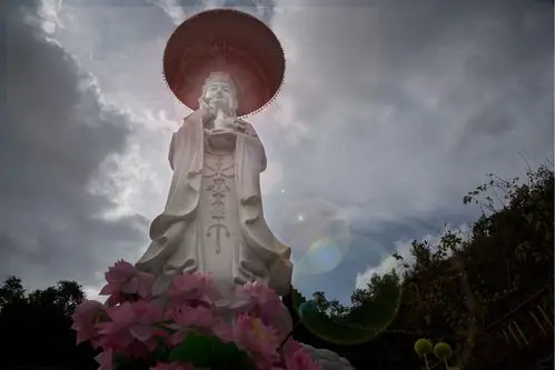 莲花盛开 佛光普照