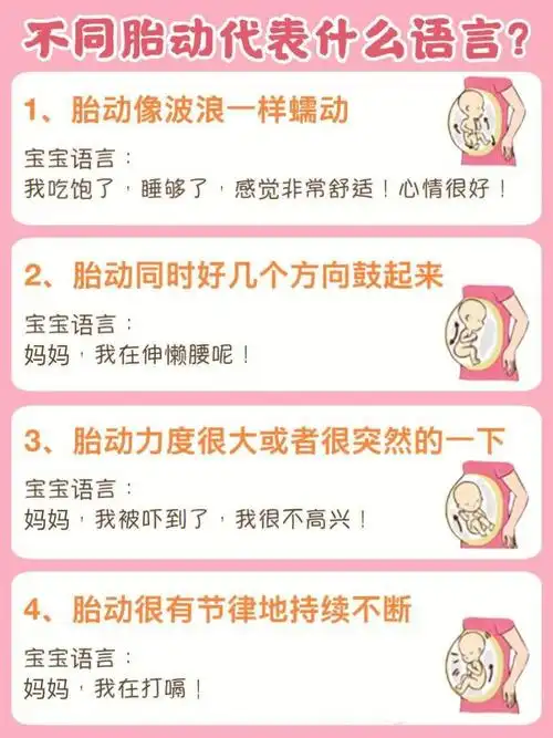 孕期胎动解析