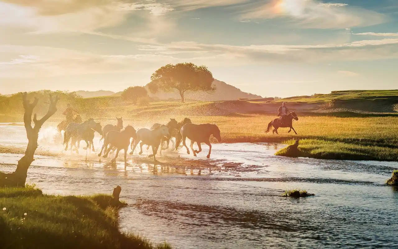 苍茫辽阔的大草原风景图片桌面壁纸
