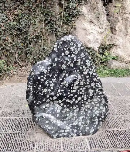 洛阳牡丹石又称牡丹玉,墨绿色的石体上嵌有天然形成的白色,青色为主的