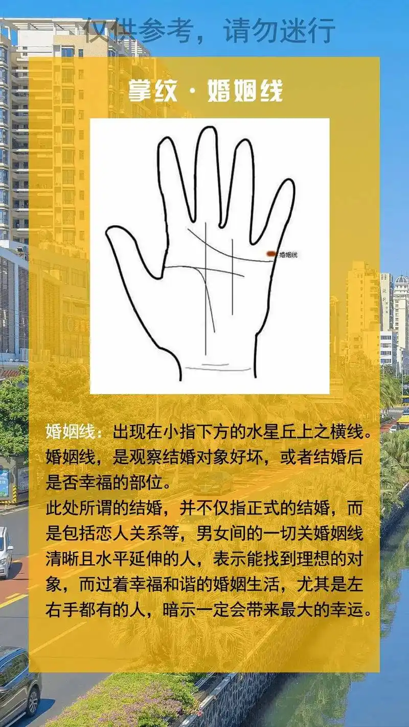 掌纹知识分享婚姻线.掌纹婚姻线的看法,大家可以分析分析#传统 - 抖音