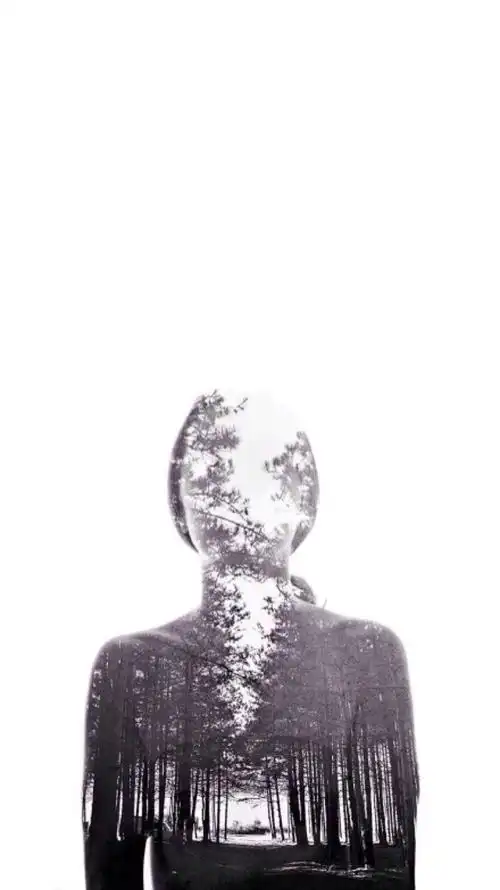 黑白,风景,壁纸,iphone,多重曝光shadow2