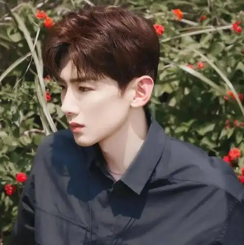 微信头像白敬亭