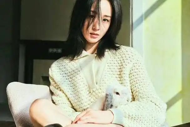 张钧甯:当学霸遇上娱乐圈,是妥协还是蜕变?