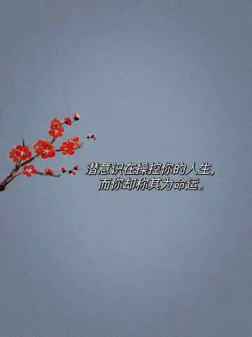 22句抖音很火的句子|允许遗憾,允许付出没有回报