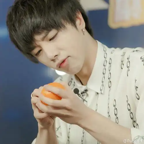 华晨宇 大舅花 呆橘花