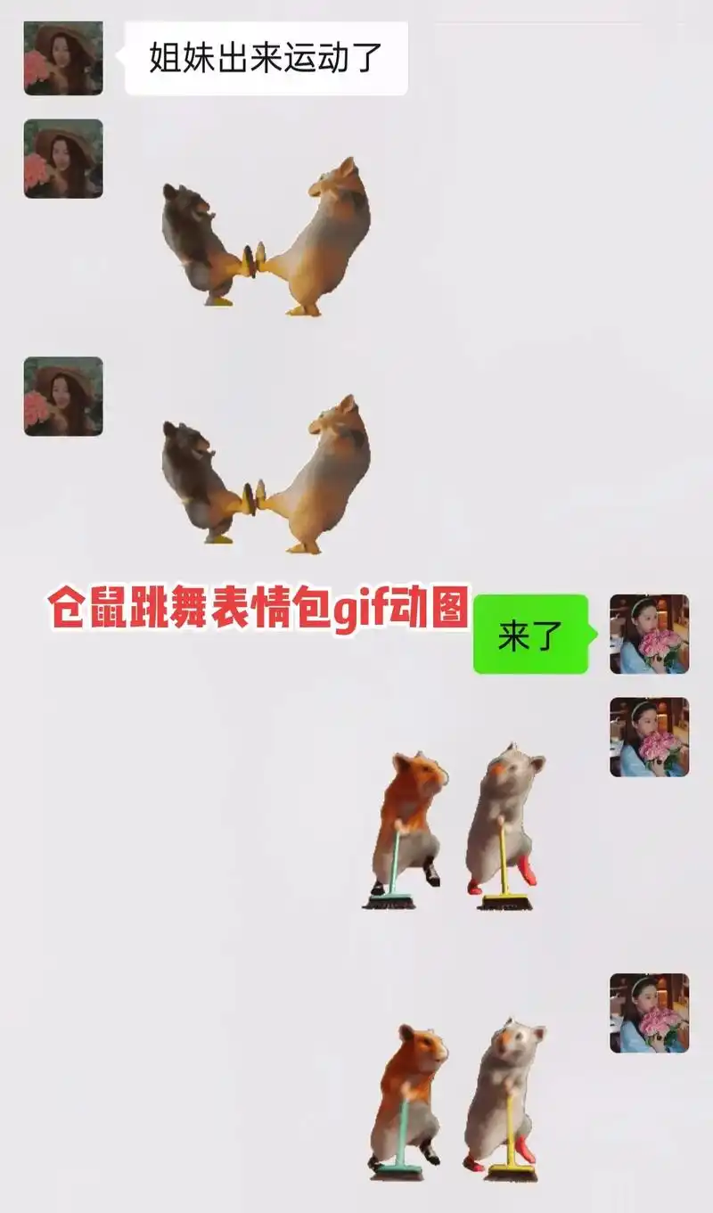 仓鼠跳舞表情包gif动图.仓鼠跳舞表情包  两只老鼠跳舞表情 - 抖音