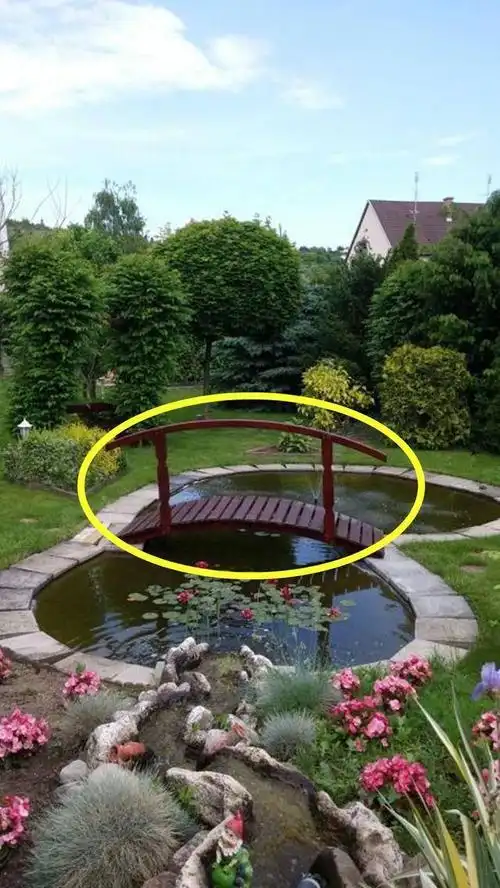 光秃秃的院子太难看老爸挖个鱼池架个拱桥小桥流水有意境极了