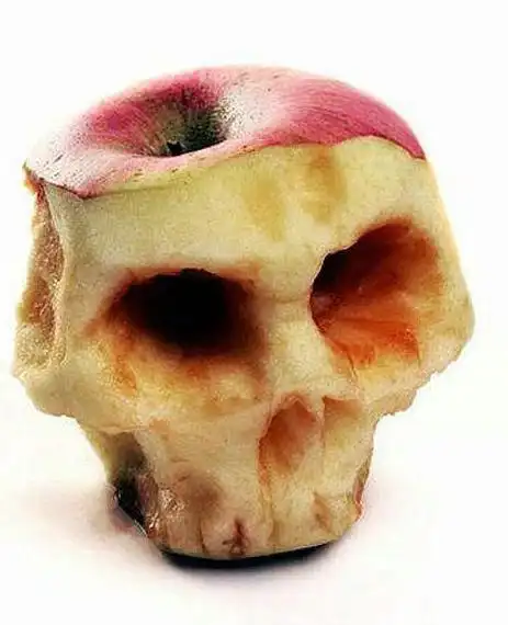 疯狂的水果造型艺术(组图)[16p]