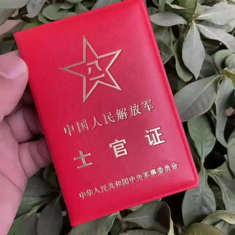 中国人民解放军!#中国军人 #致所有当过兵的战友 #致敬军旅 - 抖音