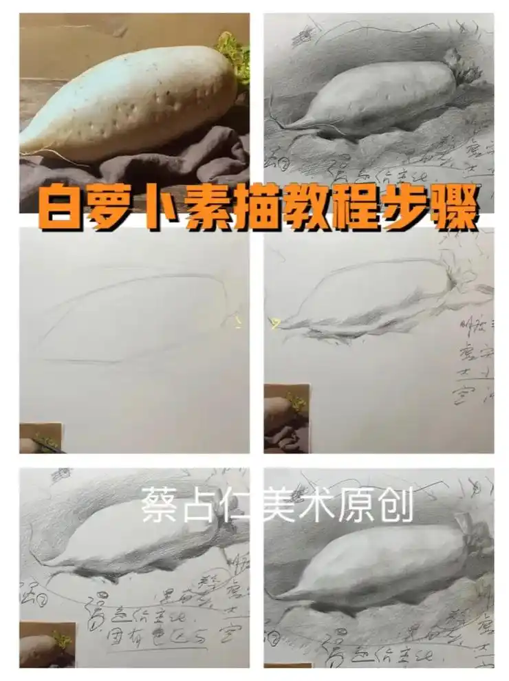 白萝卜零基础素描教程步骤,看完整视频教学私信老师1对1指导. - 抖音