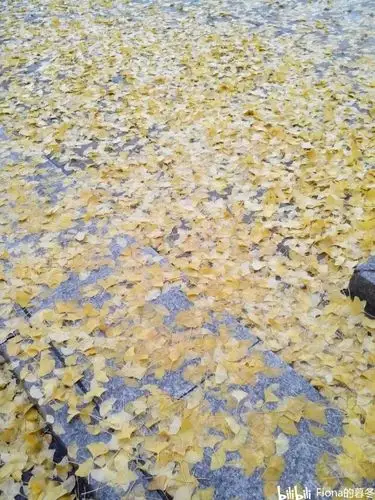 致一段逝去的感情中的一地鸡毛