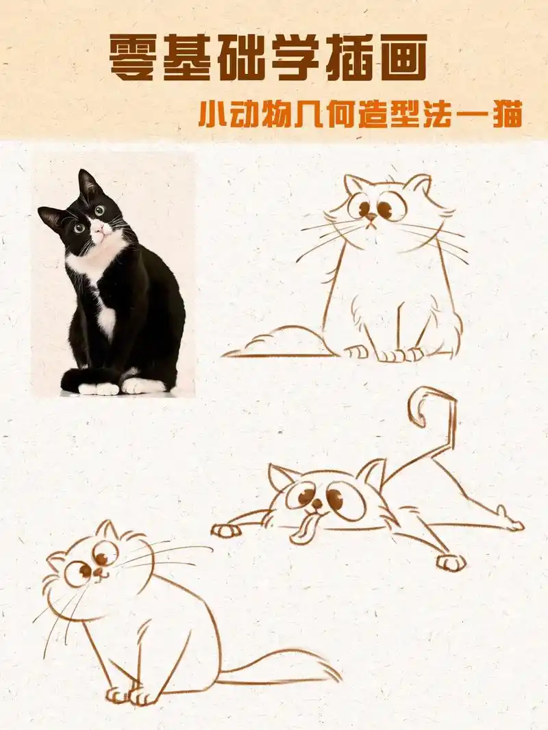 零基础动物绘画教程,超萌小猫简笔画素材来啦～#抖音图文来了  - 抖音