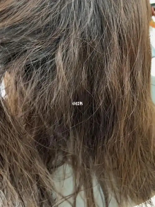 原来有这么多姐妹都是沙发发质