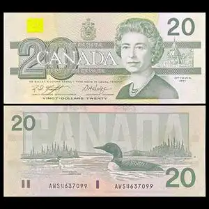 加拿大20元