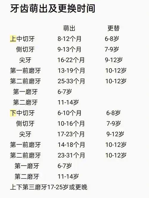 儿童牙齿生长顺序