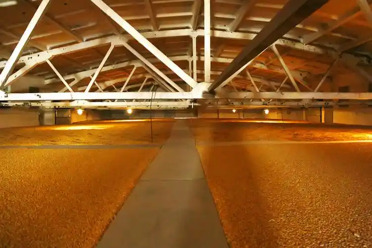 万吨粮仓尽眼底