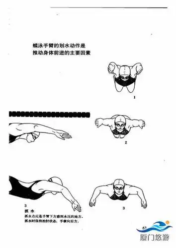 游泳技巧图解一蝶泳技术提高篇