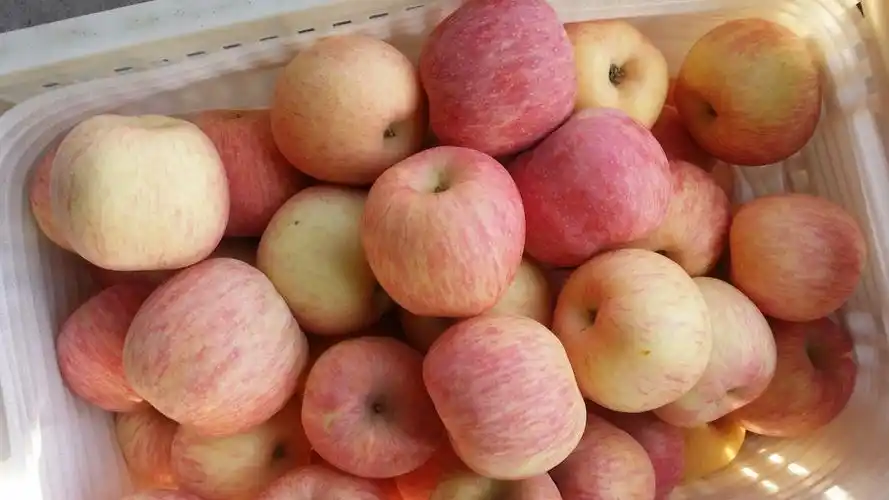 山东红富士苹果行情山东苹果产地