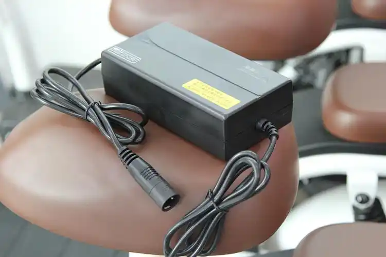 锂电池电动车充电器48v12ah专用原装麦克风卡农头48v2a雅迪原装48v3a