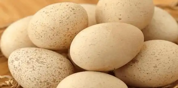 珍珠鸡蛋的作用以及功能(珍珠蛋的营养与作用)